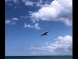 BEACH DAY