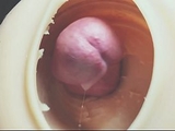 Gape Creampie Close Up Compilation