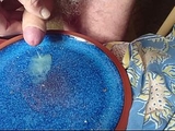 Cum on plate